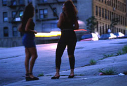 Рабочим местом для проституток по прежнему является улица